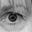 paula lewis's avatar