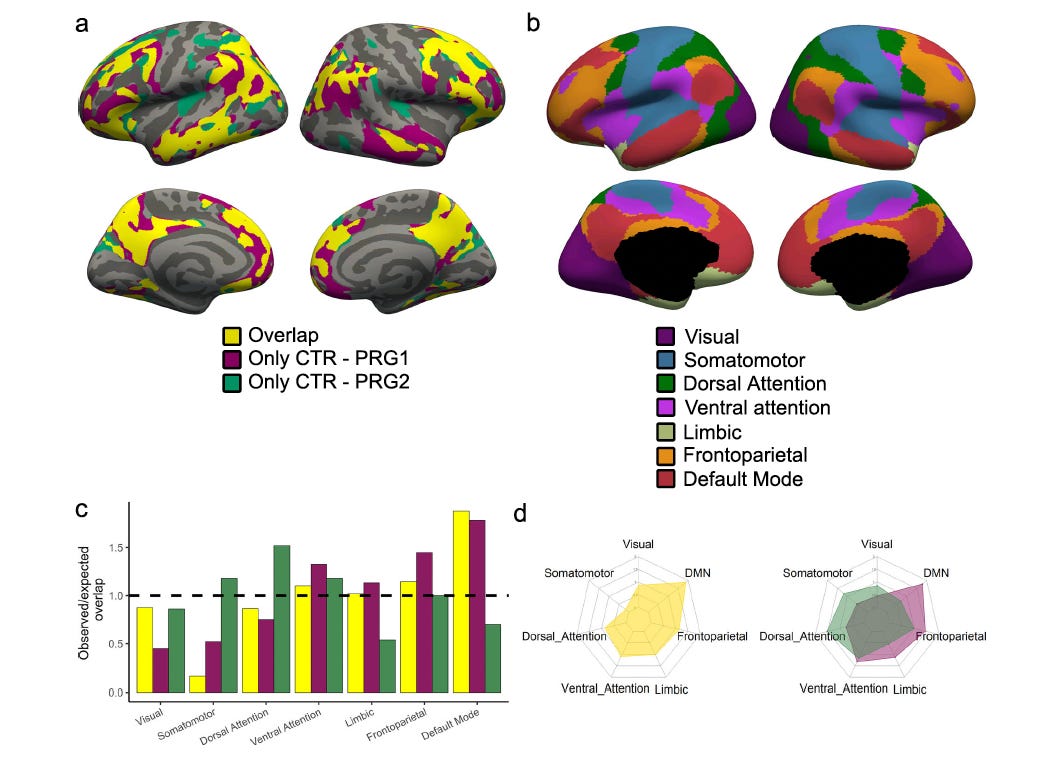 Your Brain Literally Rewires Itself With Each Pregnancy, and the Second ...
