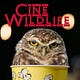 Cine Wildlife