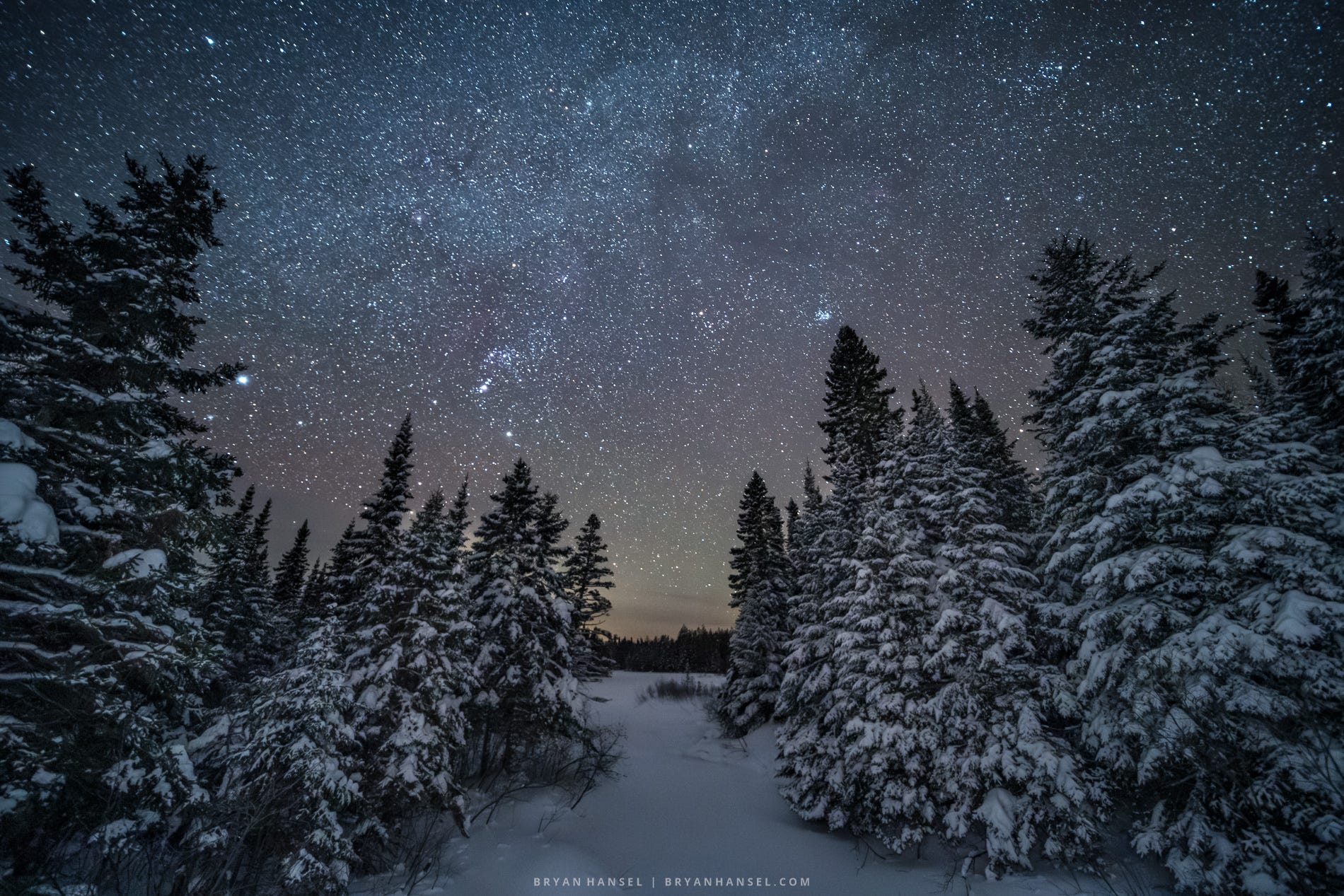 Snow-covered evergreen trees under the night sky.