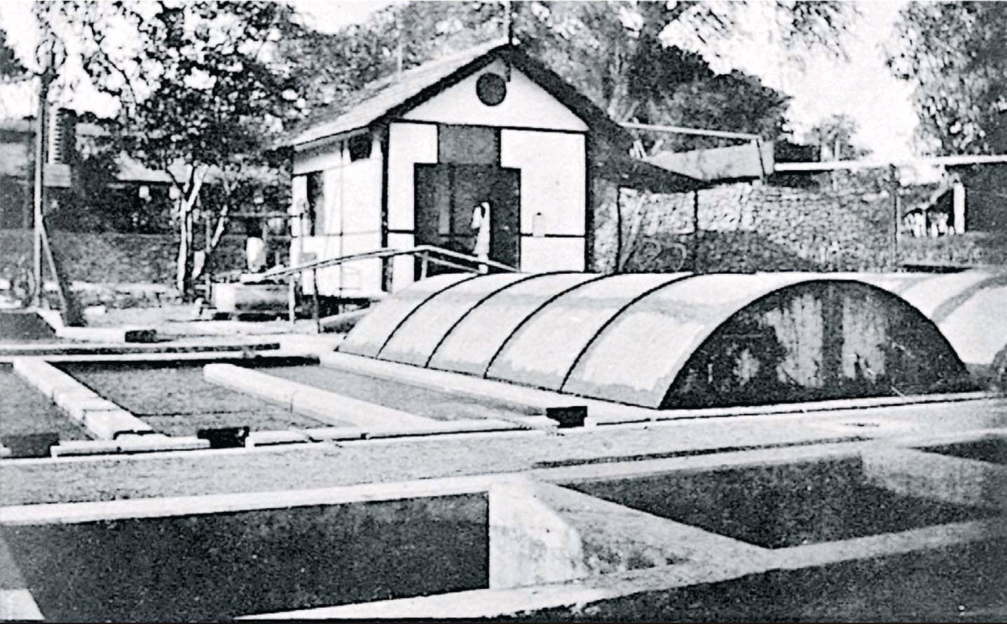 Matunga digester