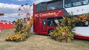 Doubledecker bus with cascading sunflowers from it