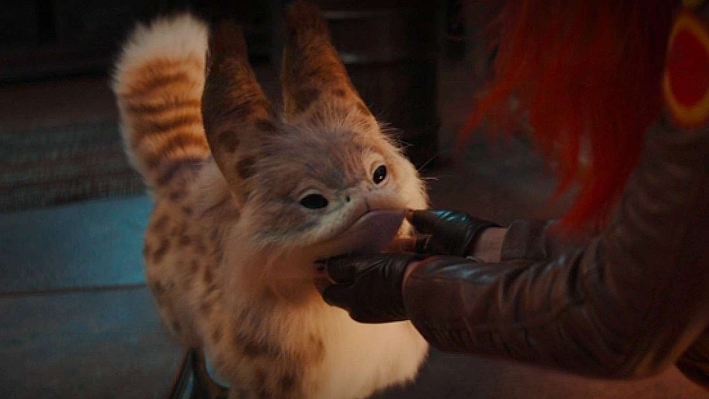 https://www.dexerto.com/cdn-cgi/image/width=3840,quality=60,format=auto/https://editors.dexerto.com/wp-content/uploads/2023/08/23/ahsoka-loth-cat.jpg https://www.dexerto.com/cdn-cgi/image/width=3840,quality=60,format=auto/https://editors.dexerto.com/wp-content/uploads/2023/08/23/ahsoka-loth-cat.jpg