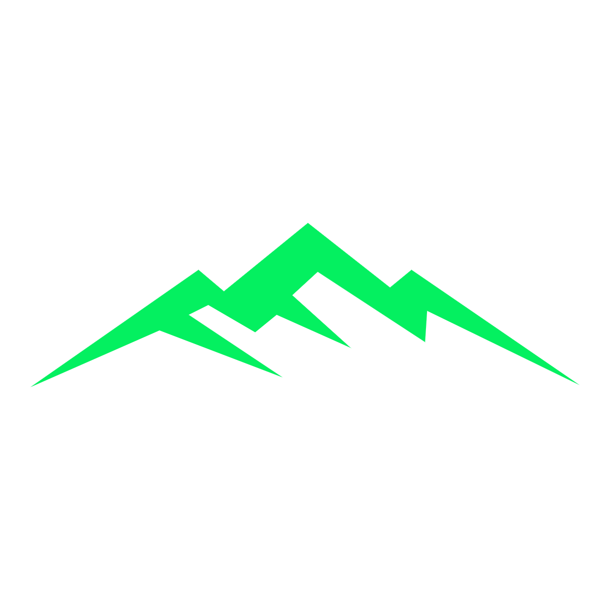 Dan Palmer | AFC Performance  logo