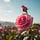 Outwitting Aging