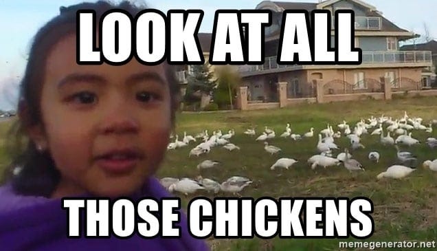 Look At All Those Chickens : r/valheim