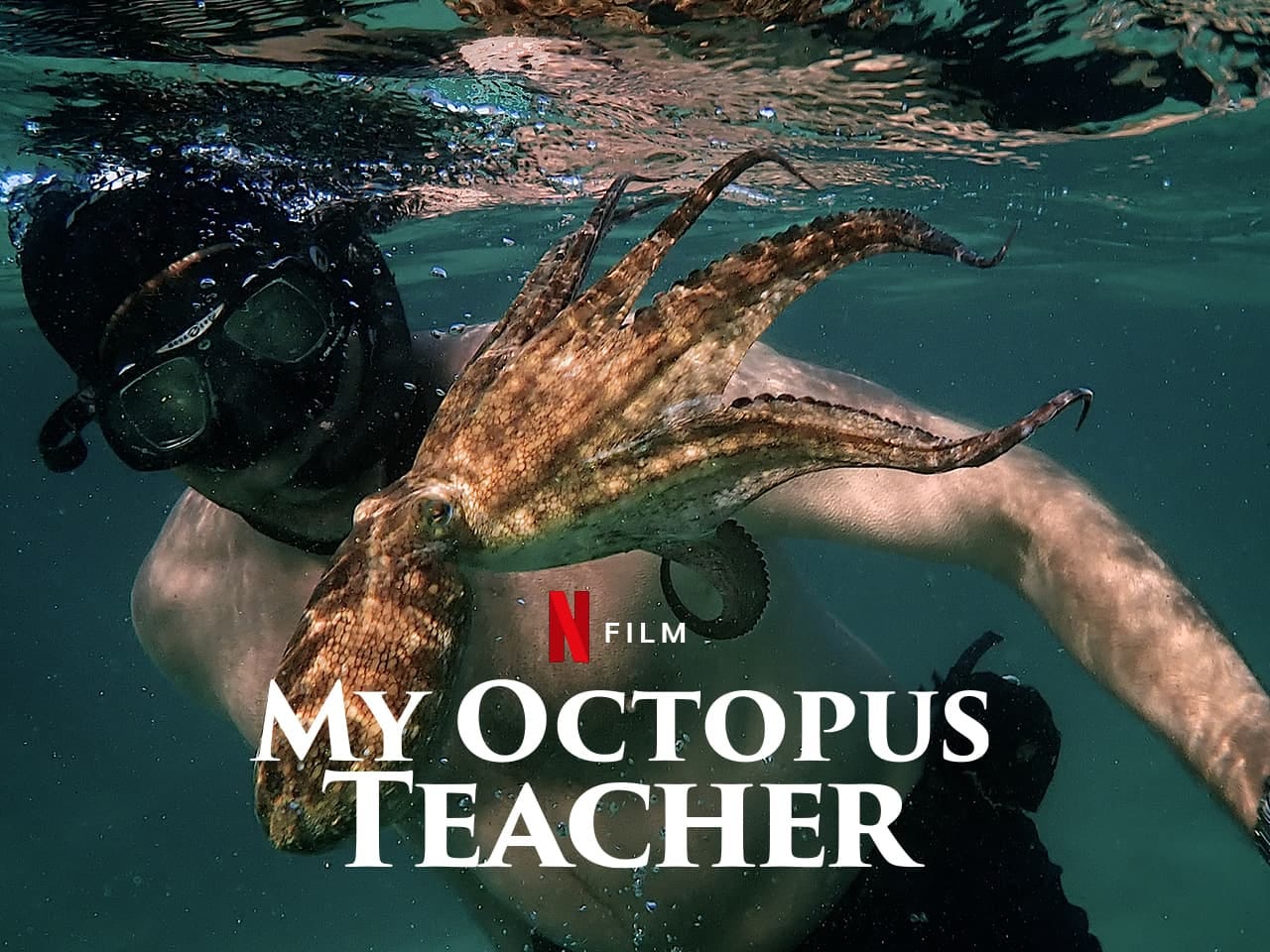 My Octopus Teacher - Sea Change Project