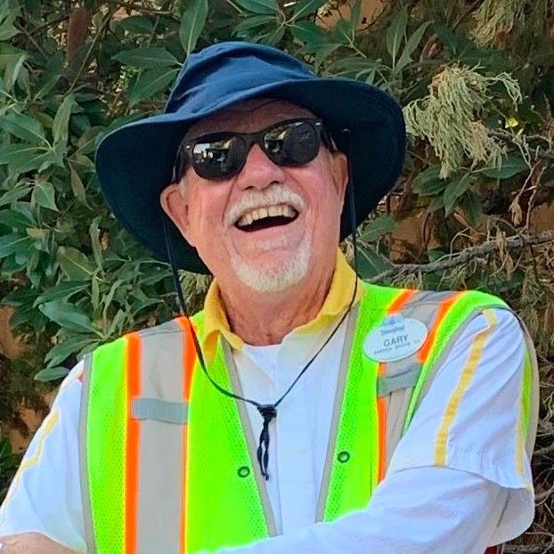 More Disney RT&P Hijinks