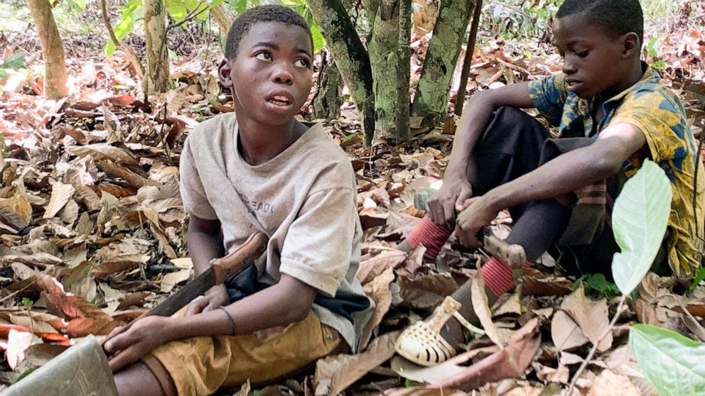 Child Labor Cocoa