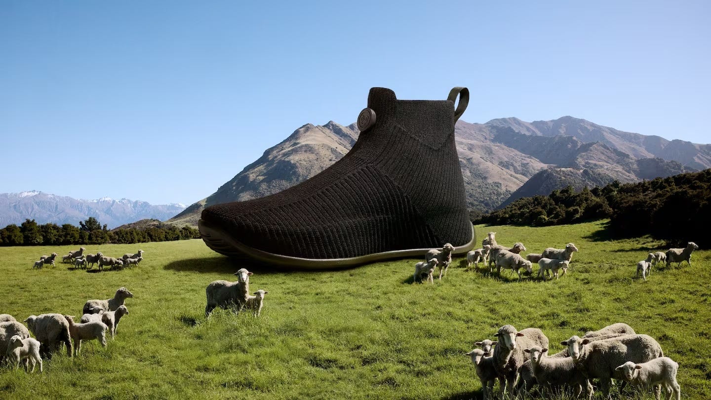 Allbirds' new zero carbon shoe Allbirds' new zero carbon shoe
