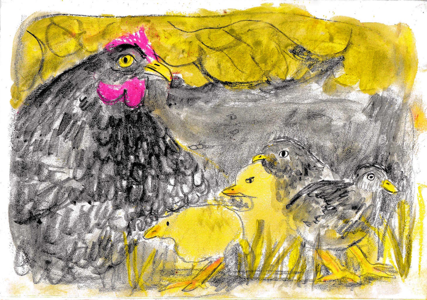 chickens illustration by Beth Spencer chickens illustration by Beth Spencer