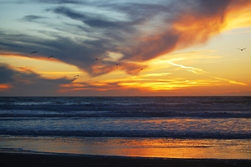 Child Abuse Survivor