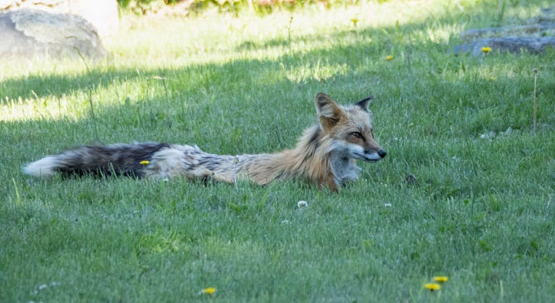 20250610-SJI3-396-Edit.jpg 20250610-SJI3-396-Edit.jpg