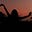 Avatar de Mesmerizing Mind