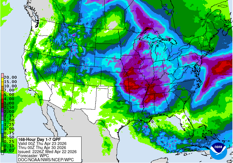 Day 11 image not available