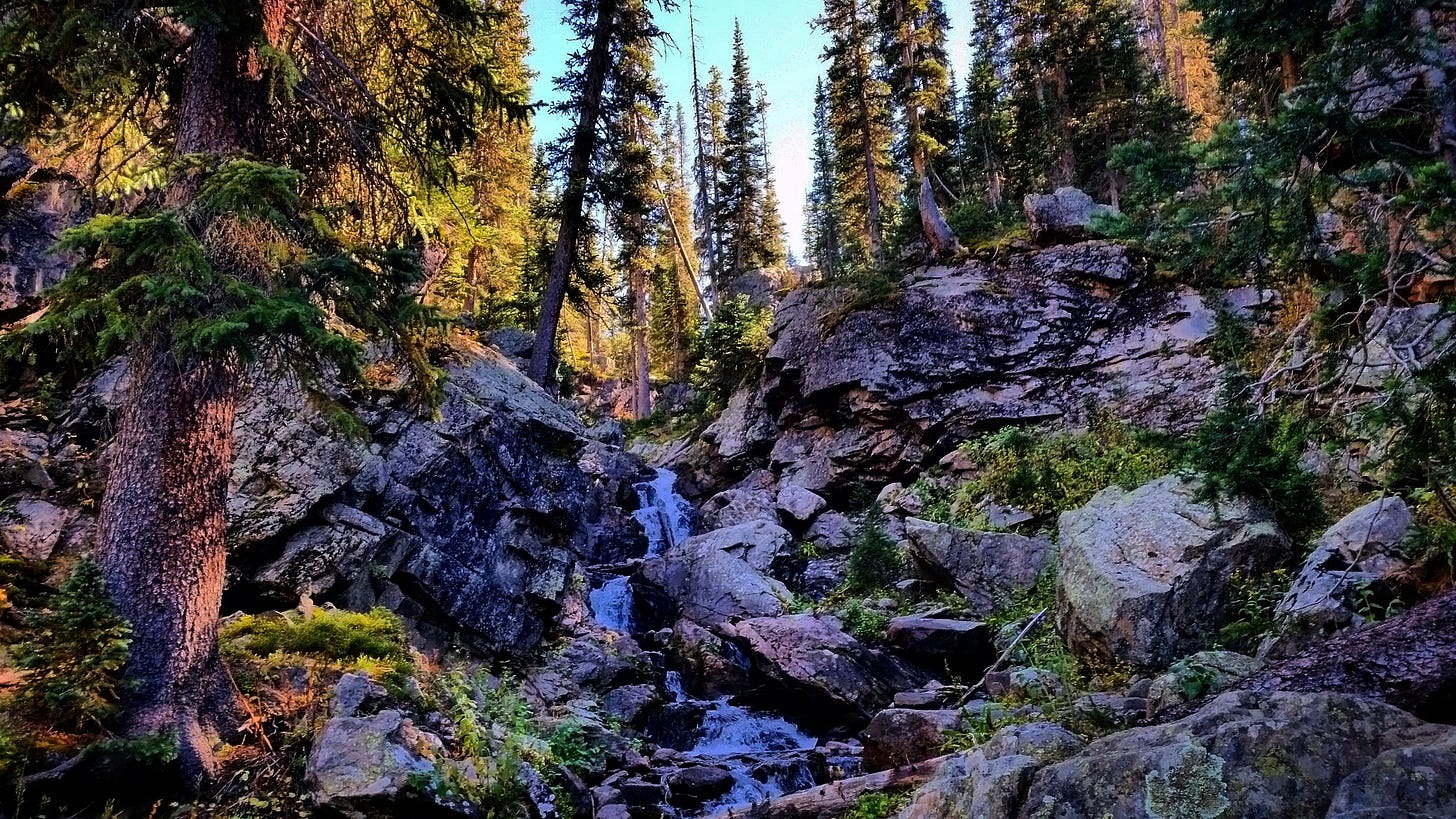 Being in nature has been one of my biggest pain changers Being in nature has been one of my biggest pain changers