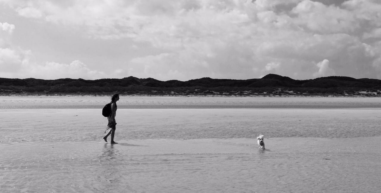 the Navigational Approach to Mind