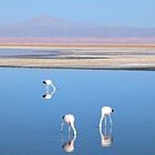 El descanso es parte del trabajo