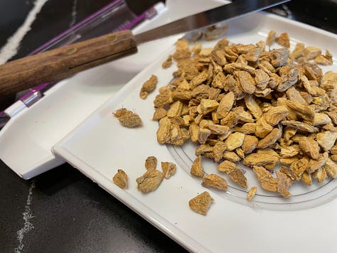 Ginger plant, rhizome (root) fresh and dried left to right