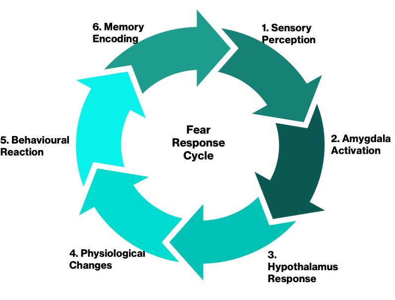 A diagram of a cycle
AI-generated content may be incorrect. A diagram of a cycle
AI-generated content may be incorrect.