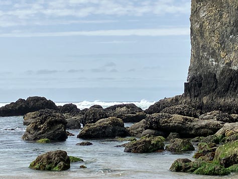 Haystack Rock, Cannon Beach, tide pools