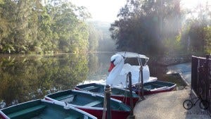 Lane Cove National Park