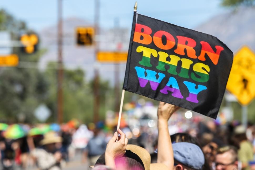 Free Stock Photo of Born This Way flag at Pride Parade | Download Free  Images and Free Illustrations