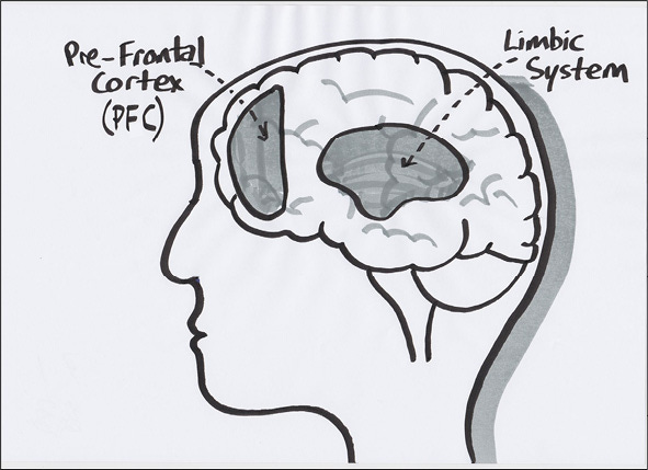 Chapter 7 The Science Bit: Leaders Do Not Know About the Power of the Brain  - Leadership Insights [Book]