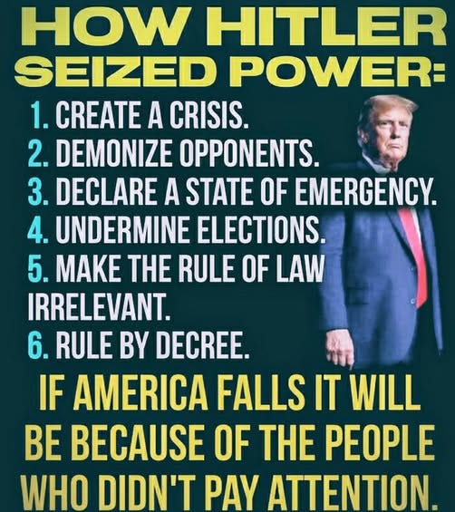 May be an image of 1 person and text that says 'HOW HITLER SEIZED POWER: 1. CREATE A CRISIS. 2. DEMONIZE OPPONENTS. 3. DECLARE A STATE OF EMERGENCY. 4. UNDERMINE ELECTIONS. 5. MAKE THE RULE OF LAW IRRELEVANT. 6. RULE BY DECREE. IF AMERICA FALLS IT WILL BE BECAUSE OF THE PEOPLE WHO DIDN'T PAY ATTENTION.'