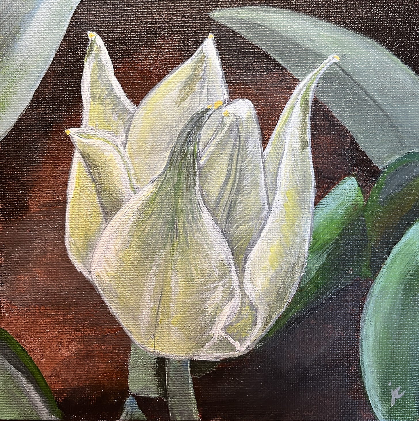 Painted tulip with yellows and greens showing new growth, painted over a dark brown background. Painted tulip with yellows and greens showing new growth, painted over a dark brown background.