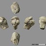 Anthropology.net