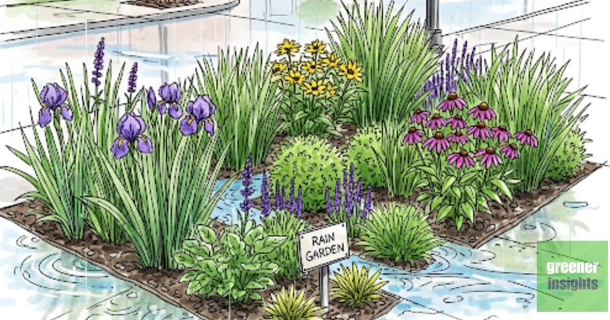 Sketch drawing style image of an urban water garden