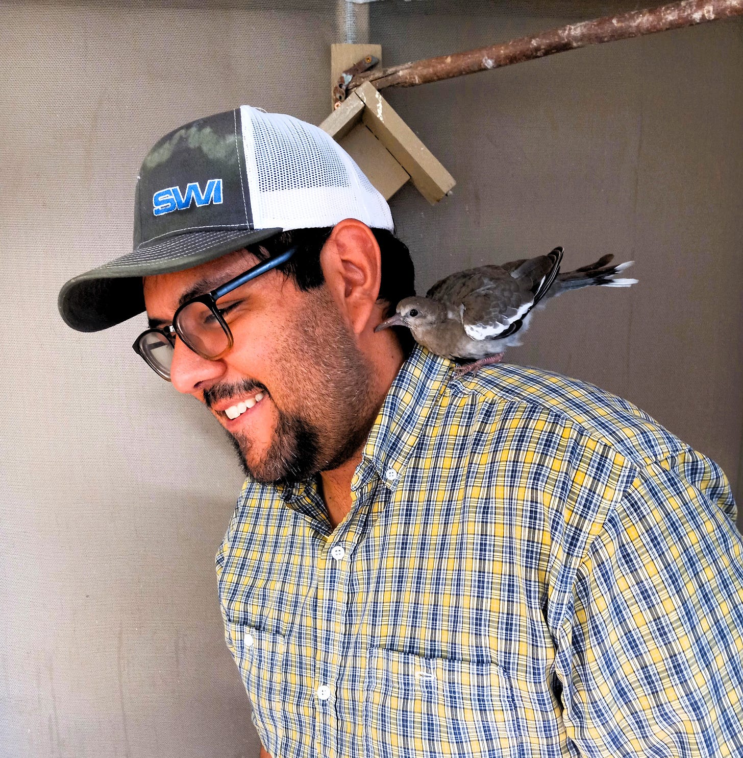 Find Meaning in Adversity Author Joaquin Roibal with White Wing Dove WWDO.