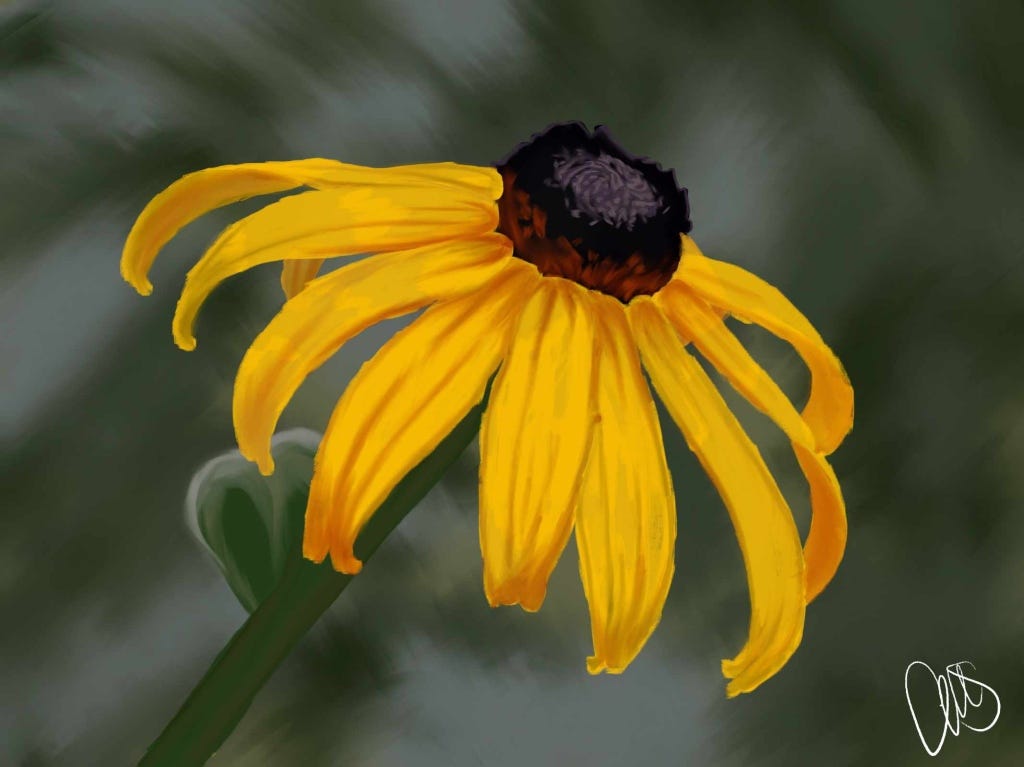Gauche painting of yellow black eyed susan flower on green background