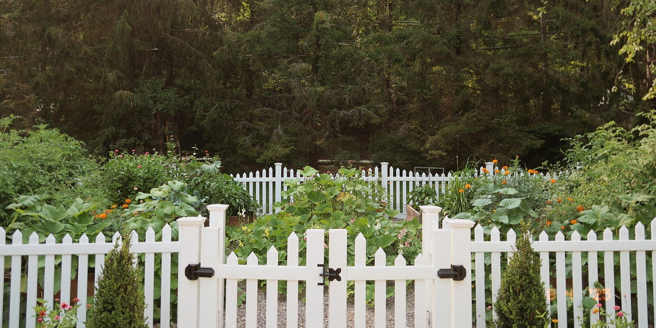 My Garden Era (And All the Tools I Swear By Now)