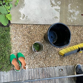 the chelsea flower show leaves me exhausted