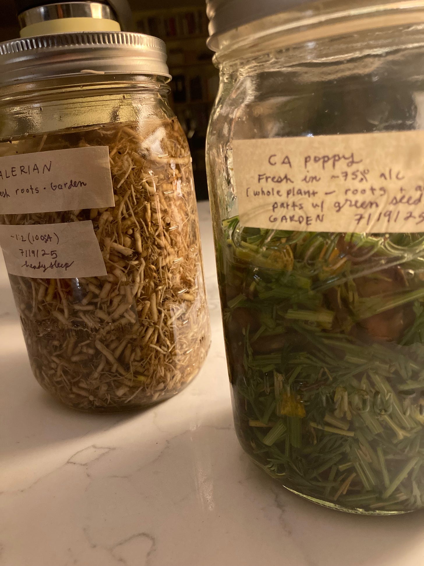 Two jars of tinctures with handwritten labels - Valerian and California Poppy.
