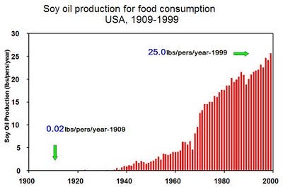 Vegetable Seed Oils
