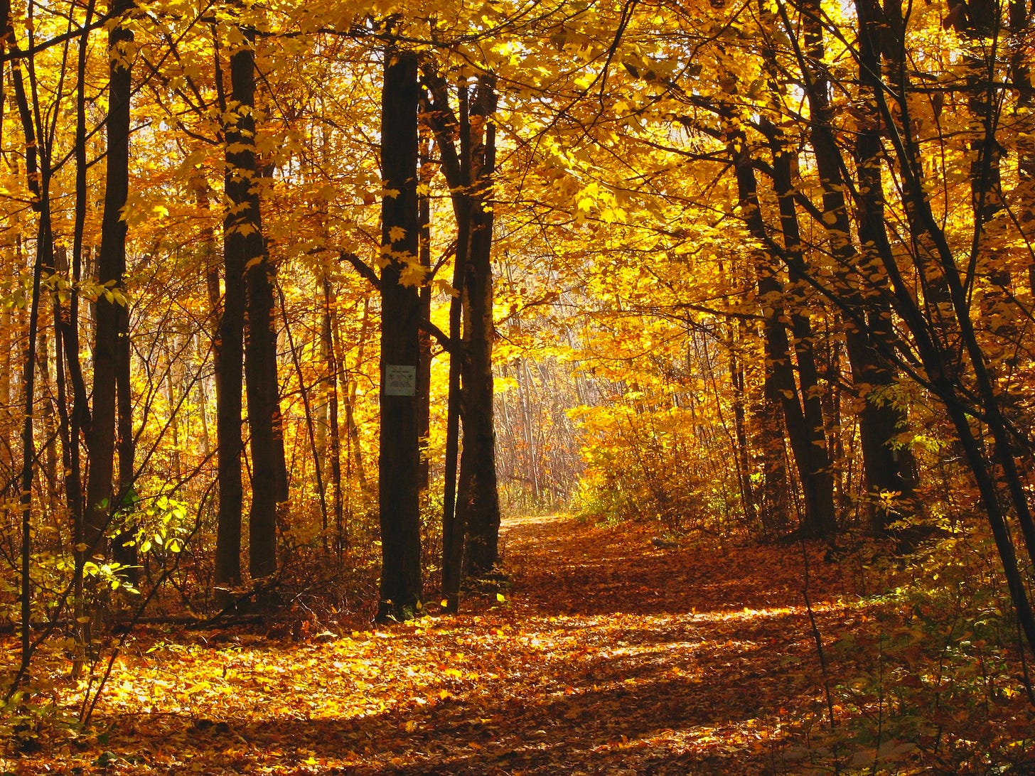 No photo description available. No photo description available.