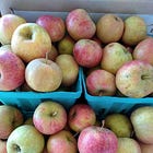🍎 5 Apples to Search High and Low For in September