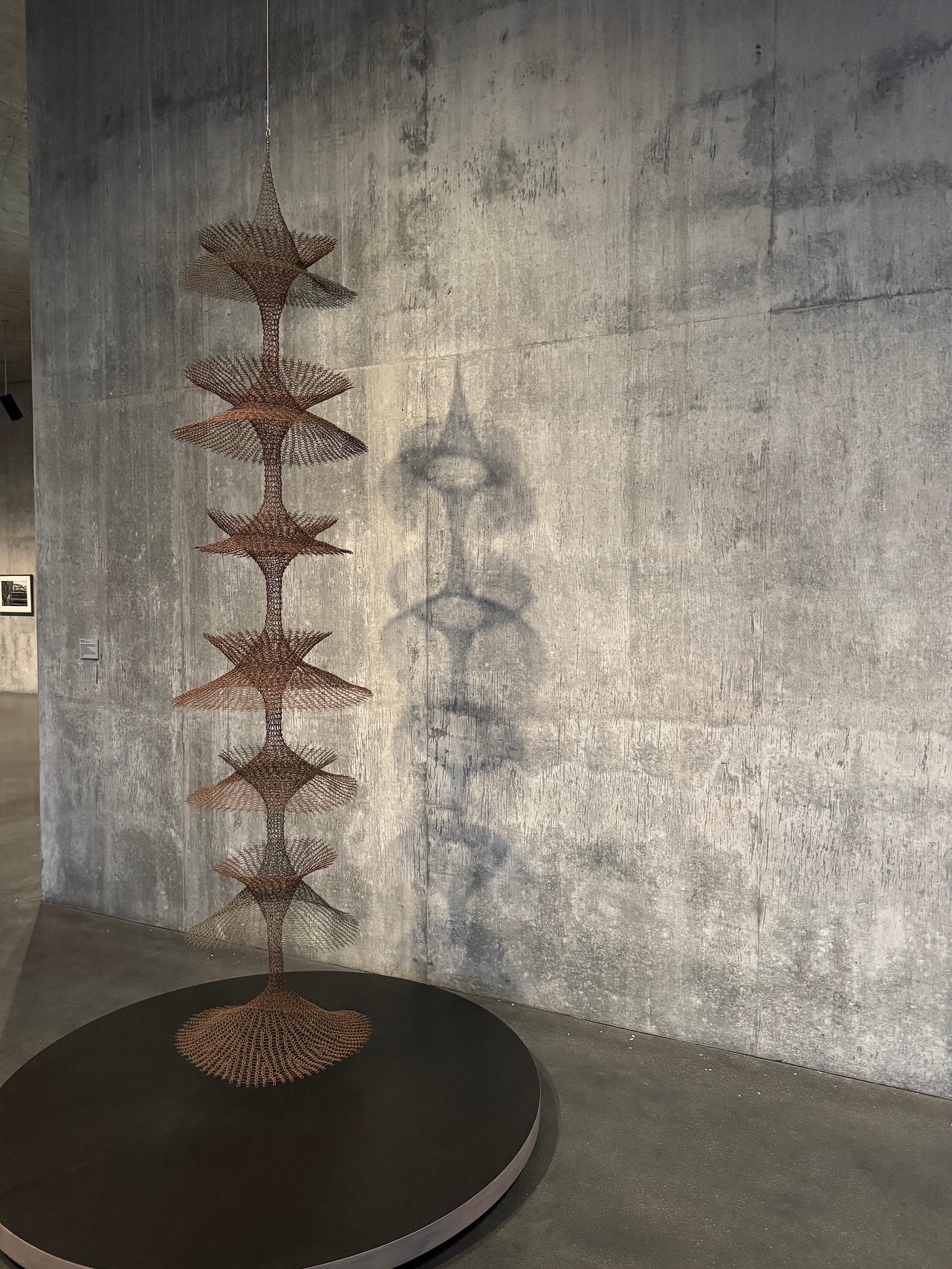 Suspended wire sculpture by Ruth Asawa on view at the Geffen Galleries at LACMA.