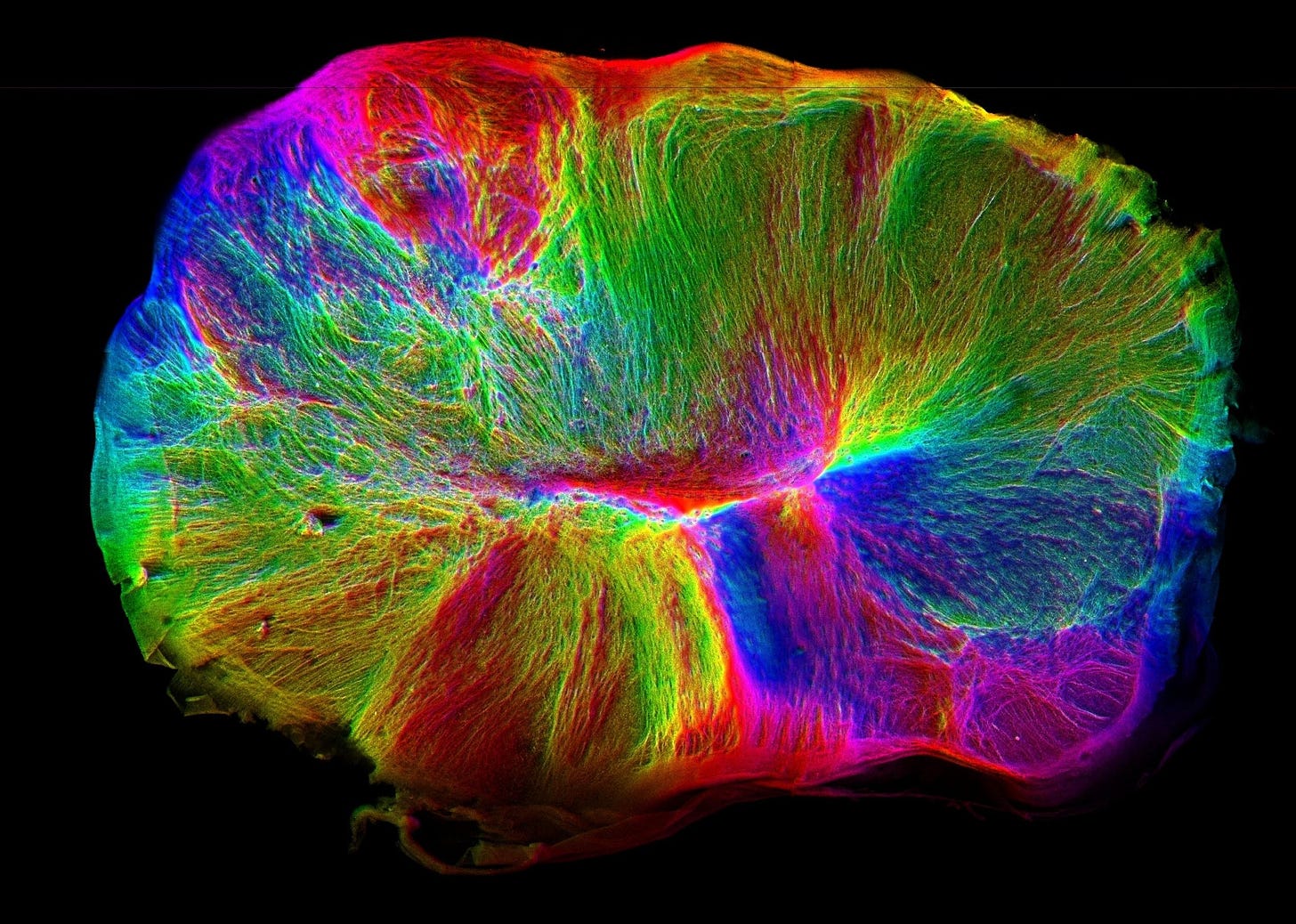 Lancaster research cropped