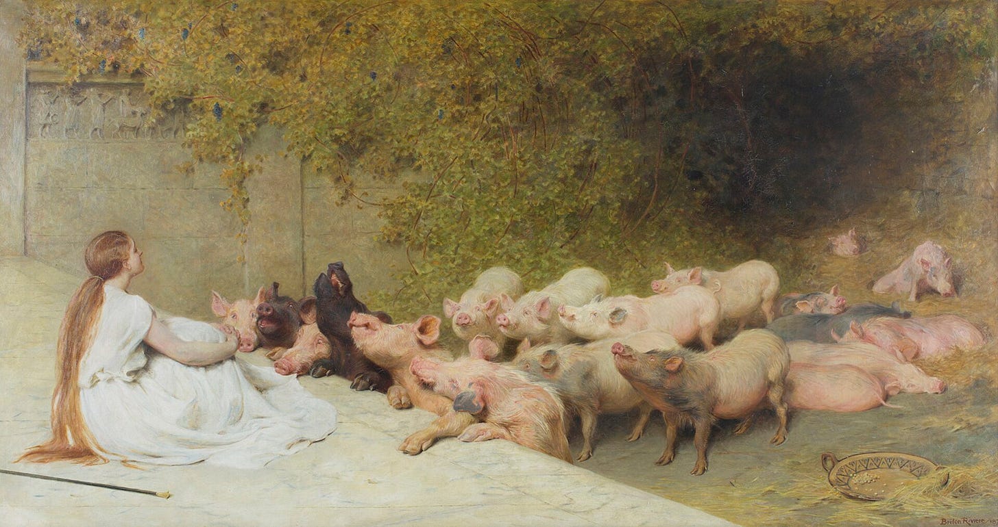 A young woman in a long white dress sits on a stone terrace with her back to a sunlit wall, as a crowd of pigs presses up around her and nuzzles at her skirt.