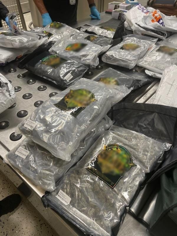 CBP Agents at Houston's George Bush Intercontinental Airport foiled an attempt to smuggle almost 9 kilos of marijuana to the UK this month.
