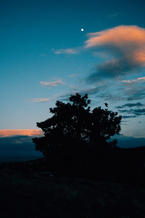 Fuji photographs of life in Montana by Tyler Knott Gregson