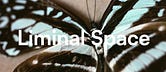 Liminal Space