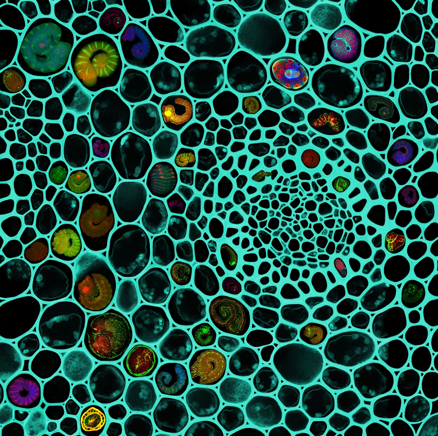 Art and science: two complementary views of the world | FEBS Network