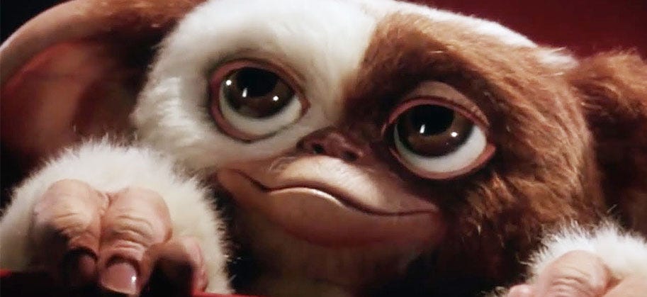 Gremlins: Secrets of the Mogwai renewed for a second season at HBO Max -  BIGNEWZ