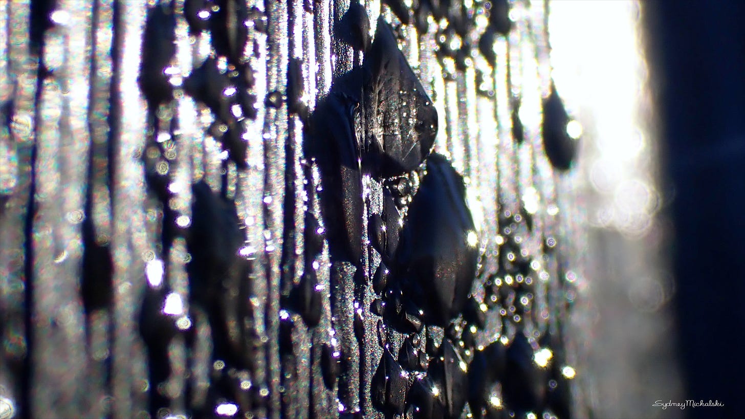 Morning sun meets cabin frost, creating a momentary metallic droplet-scape.