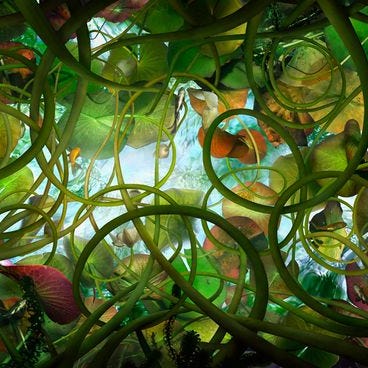 Artwork for My Anthropocene, Reviewed